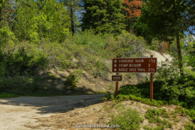 Converse Basin Road in Sequoia National Forest in California