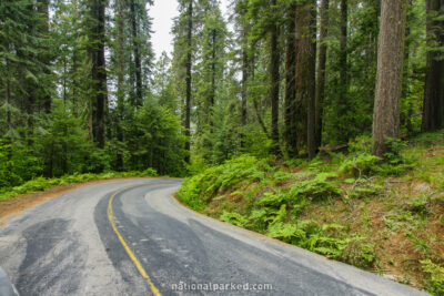 Crystal Cave Road in Sequoia National Park in California