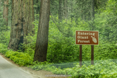 Giant Forest Entrance Sign in Sequoia National Park in California