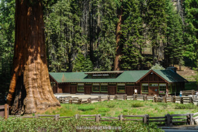 Giant Forest Museum in Sequoia National Park in California