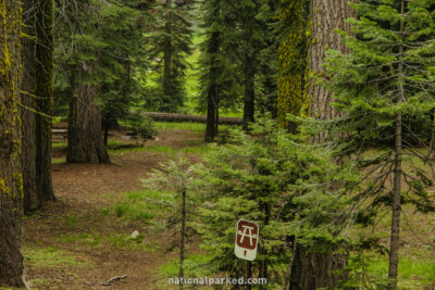 Halstead Meadow Picnic Area in Sequoia National Park in California