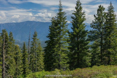 in Sequoia National Forest in California