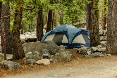 Lodgepole Campground in Sequoia National Park in California