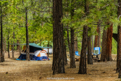 Moraine Campground in Kings Canyon National Park in California