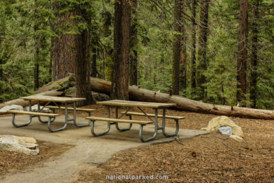 Pinewood Picnic Area in Sequoia National Park in California