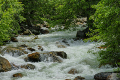 Roaring River in Kings Canyon National Park in California