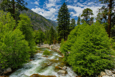 Roaring River in Kings Canyon National Park in California
