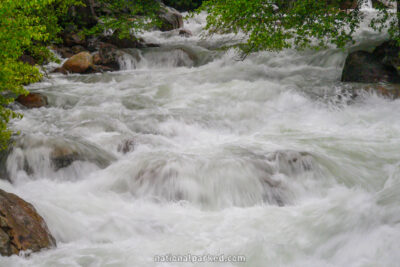 Roaring River in Kings Canyon National Park in California