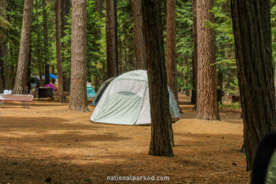 Sentinel Campground in Kings Canyon National Park in California