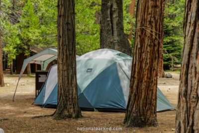 Sentinel Campground in Kings Canyon National Park in California