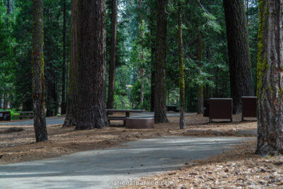 Sunset Campground in Kings Canyon National Park in California