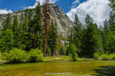 Zumwalt Meadow in Kings Canyon National Park in California