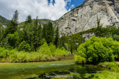 Zumwalt Meadow in Kings Canyon National Park in California