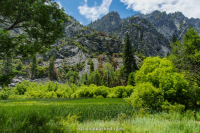 Zumwalt Meadow in Kings Canyon National Park in California