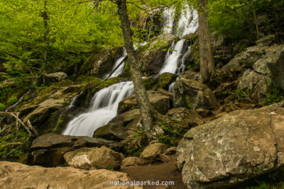 Dark Hollow Falls in Shenandoah National Park in Virginia
