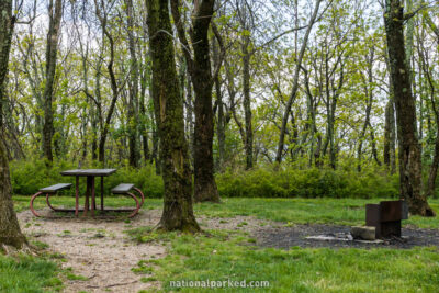 Loft Mountain Campground in Shenandoah National Park in Virginia