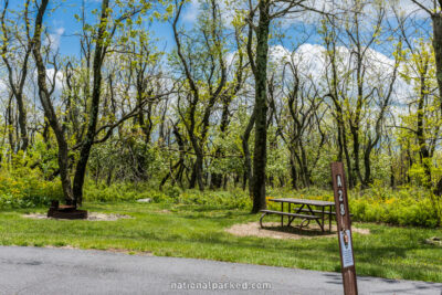 Loft Mountain Campground in Shenandoah National Park in Virginia