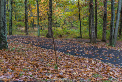 Mathews Arm Campground in Shenandoah National Park in Virginia