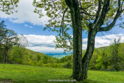 South River Overlook in Shenandoah National Park in Virginia