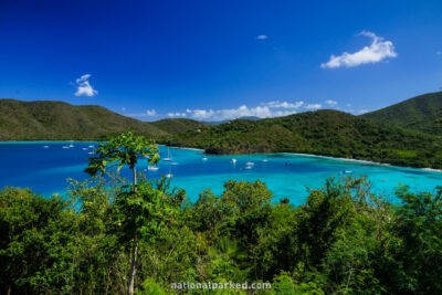 America Point in Virgin Islands National Park on the island of St. John