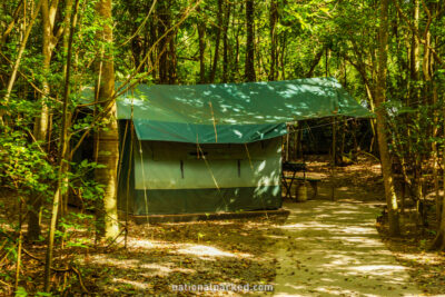 Cinnamon Bay Campground in Virgin Islands National Park on the island of St. John