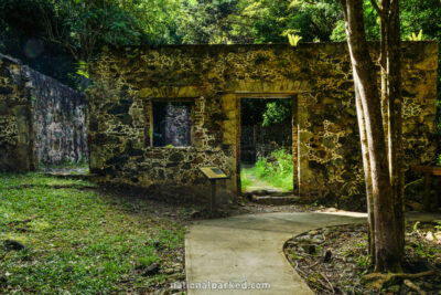 Cinnamon Bay Loop Trail in Virgin Islands National Park on the island of St. John