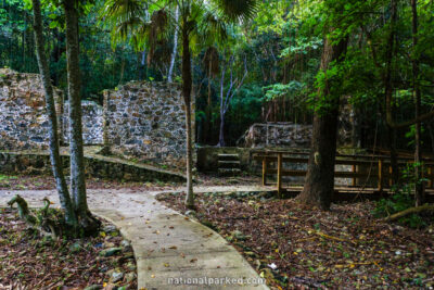 Cinnamon Bay Loop Trail in Virgin Islands National Park on the island of St. John