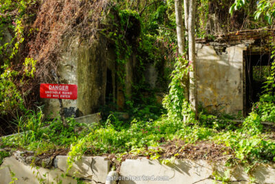 Francis Bay Walking Trail in Virgin Islands National Park on the island of St. John