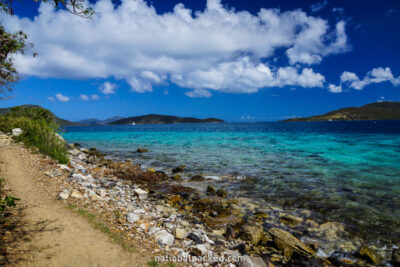 Leinster Bay Trail in Virgin Islands National Park on the island of St. John