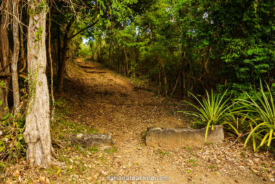 Peace Hill Trail in Virgin Islands National Park on the island of St. John