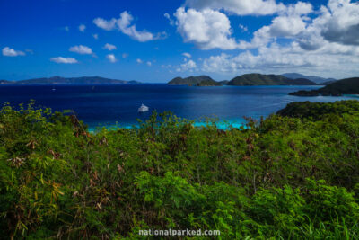 Peace Hill Trail in Virgin Islands National Park on the island of St. John