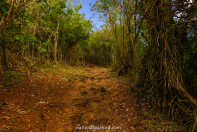 Peace Hill Trail in Virgin Islands National Park on the island of St. John
