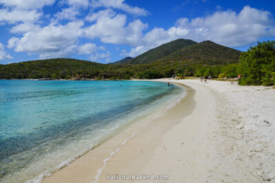 Salt Pond in Virgin Islands National Park on the island of St. John