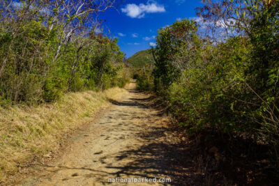 Salt Pond Trail in Virgin Islands National Park on the island of St. John