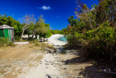 Salt Pond Trail in Virgin Islands National Park on the island of St. John