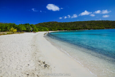 Salt Pond Trail in Virgin Islands National Park on the island of St. John