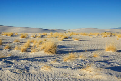 White Sands National Monument in New Mexico