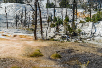 Angel Terrace in Yellowstone National Park in Wyoming