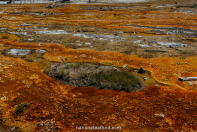 Bacteria Mats in Yellowstone National Park in Wyoming