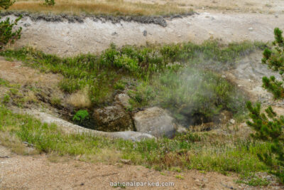 Basin Geyser in Yellowstone National Park in Wyoming