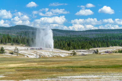 Beehive Geyser in Yellowstone National Park in Wyoming