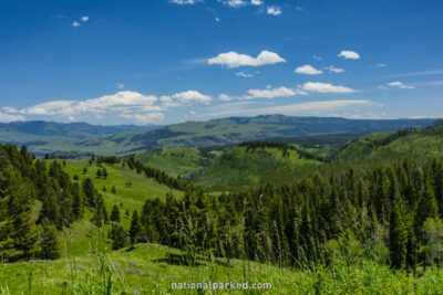 Blacktail Plateau Drive in Yellowstone National Park in Wyoming