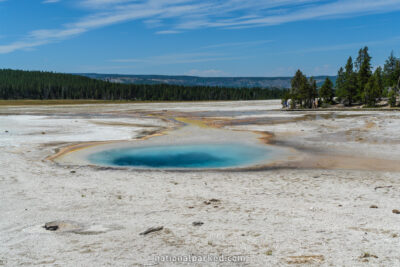 Celestine Pool in Yellowstone National Park in Wyoming