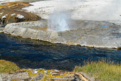 Cliff Geyser in Yellowstone National Park in Wyoming