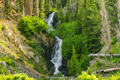 Crecelius Cascade in Yellowstone National Park in Wyoming