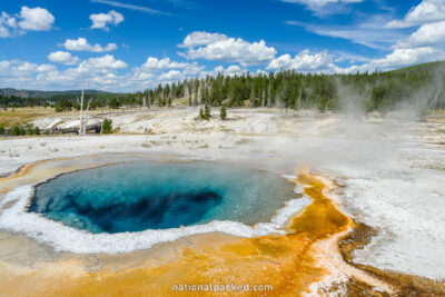 Crested Pool in Yellowstone National Park in Wyoming