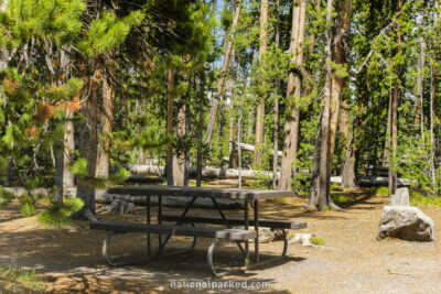 DeLacy Creek Picnic Area in Yellowstone National Park in Wyoming