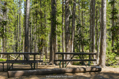 Divide Picnic Area in Yellowstone National Park in Wyoming
