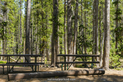 Divide Picnic Area in Yellowstone National Park in Wyoming