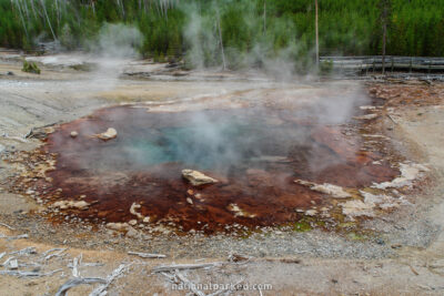 Echinus Geyser in Yellowstone National Park in Wyoming